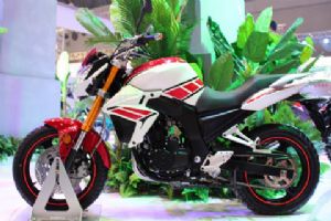 ���� ����YG250-NT